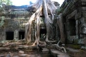 kompleks świątyń Angkor w Kambodży