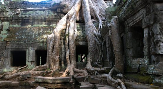 kompleks świątyń Angkor w Kambodży
